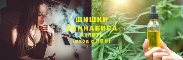 прущий лед Бронницы