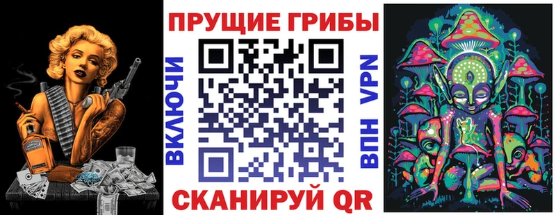 Купить закладки  Плёс  Галлюциногенные грибы MAGIC MUSHROOMS 